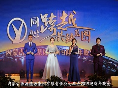 2019年1月16日內(nèi)蒙古源源能源集團舉辦“同心跨越 共鑄藍(lán)圖”迎新晚會